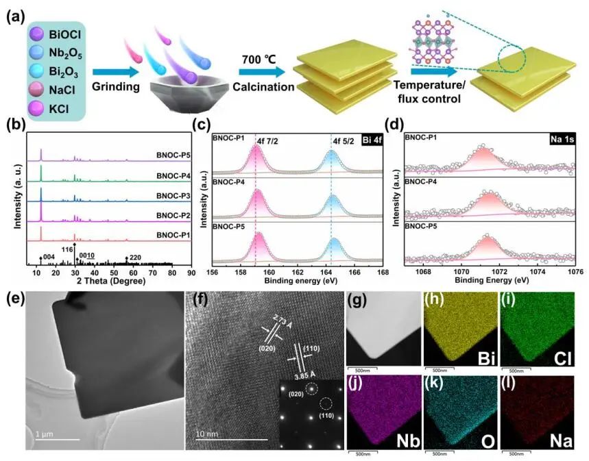 计算顶刊成果速递：3篇Angew、2篇Nat. Commun.、JACS、AFM、Small等！