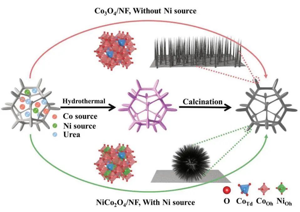 计算顶刊成果速递：3篇Angew、2篇Nat. Commun.、JACS、AFM、Small等！