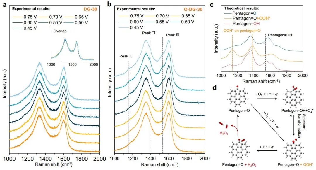 计算顶刊成果速递：3篇Angew、2篇Nat. Commun.、JACS、AFM、Small等！