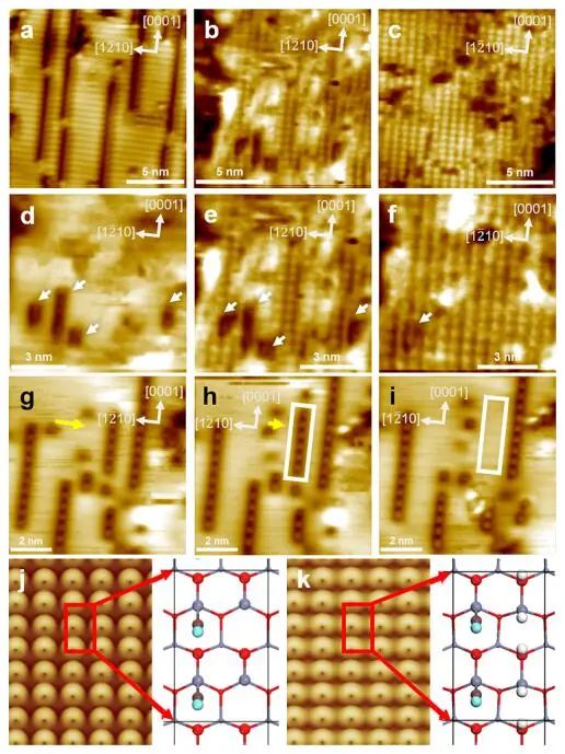 计算顶刊成果速递：3篇Angew、2篇Nat. Commun.、JACS、AFM、Small等！