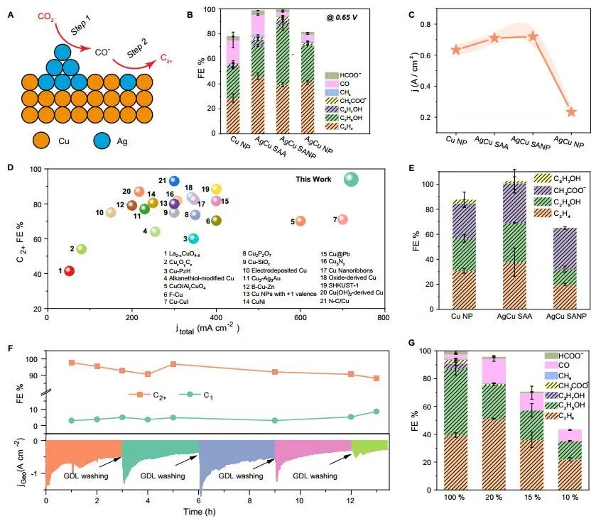 计算顶刊成果速递：3篇Angew、2篇Nat. Commun.、JACS、AFM、Small等！