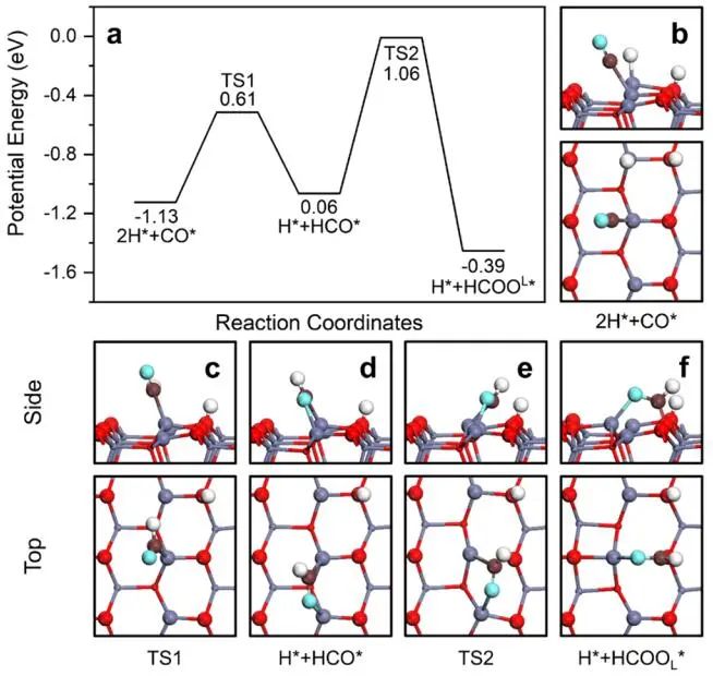 计算顶刊成果速递：3篇Angew、2篇Nat. Commun.、JACS、AFM、Small等！