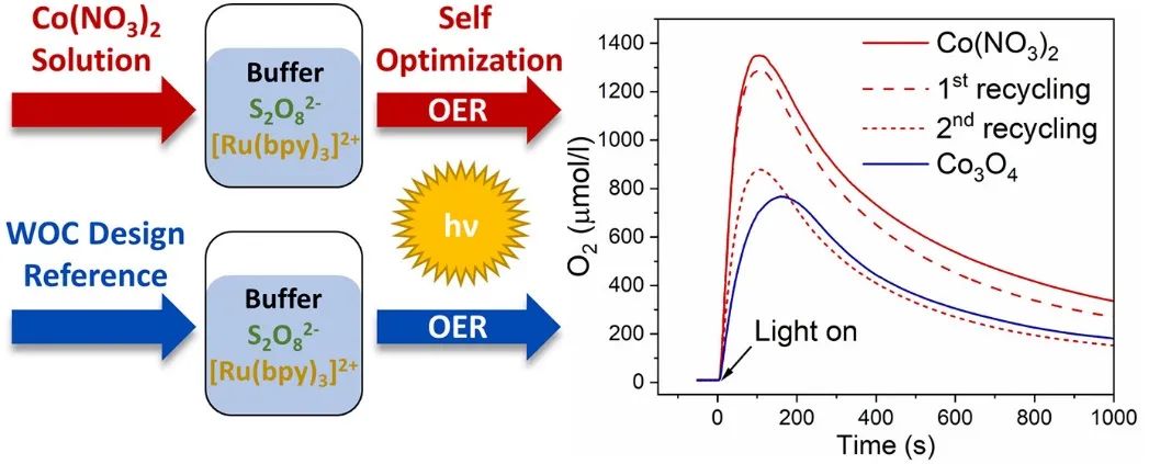 催化顶刊集锦：JACS、Angew.、ACS Energy Lett.、ACS Nano、ACS Catal.等最新成果