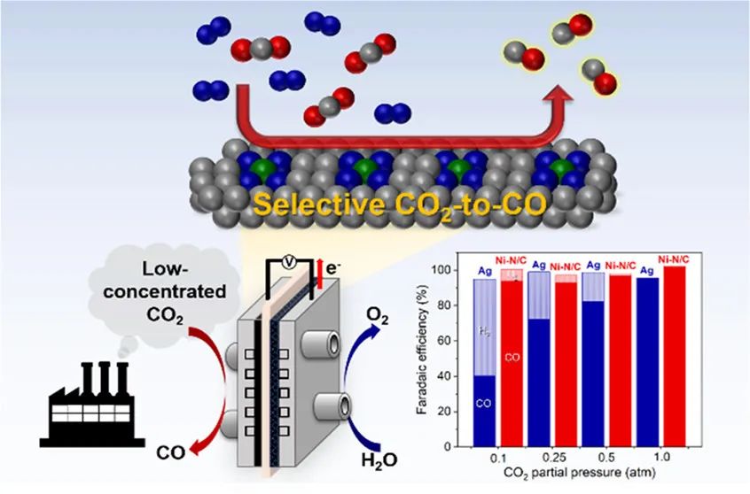 催化顶刊集锦：JACS、Angew.、ACS Energy Lett.、ACS Nano、ACS Catal.等最新成果