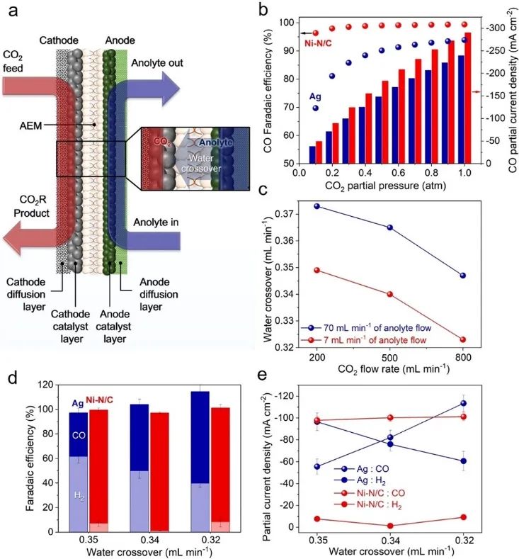 催化顶刊集锦：JACS、Angew.、ACS Energy Lett.、ACS Nano、ACS Catal.等最新成果