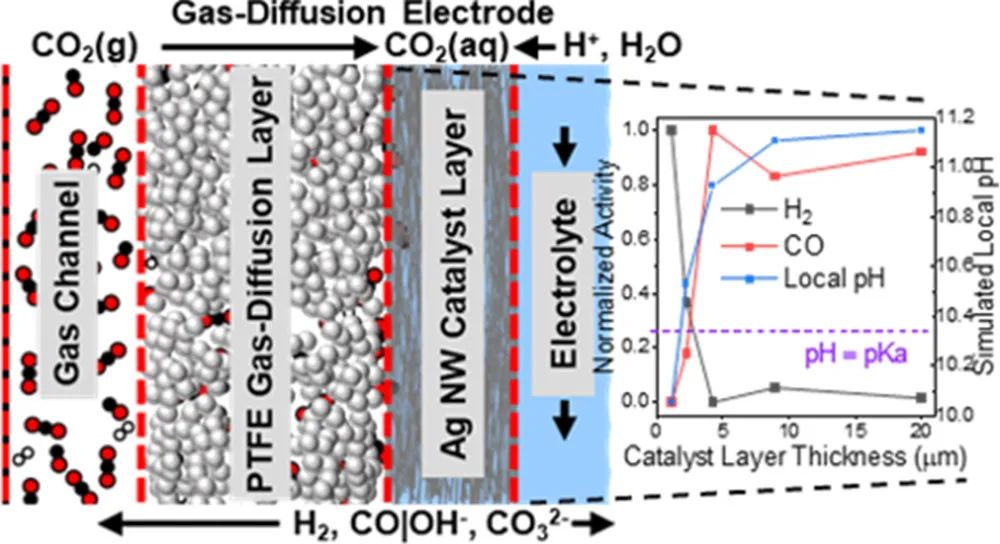 催化顶刊集锦：JACS、Angew.、ACS Energy Lett.、ACS Nano、ACS Catal.等最新成果