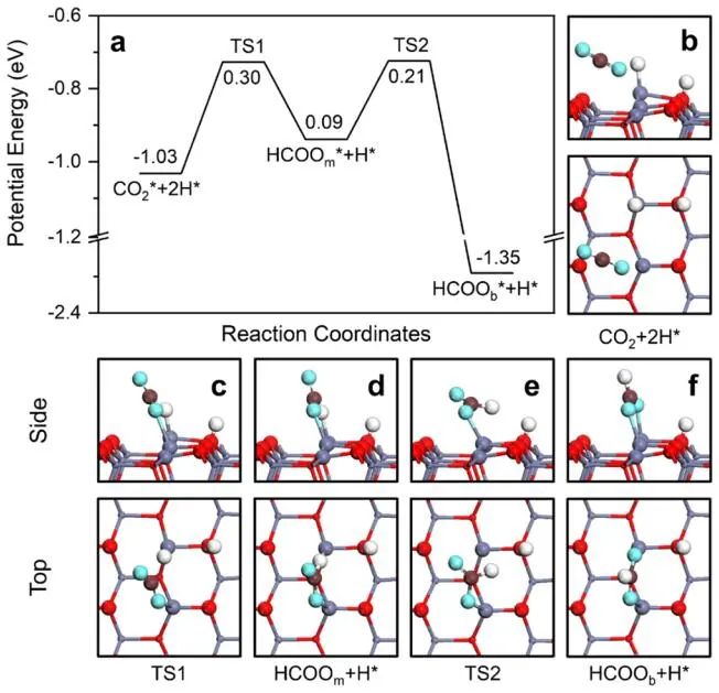 计算顶刊成果速递：3篇Angew、2篇Nat. Commun.、JACS、AFM、Small等！