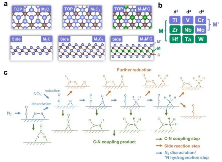 乔世璋/焦研JACS：理论计算+机器学习，揭示Mxene上C-N电偶联反应的活性和选择性路线