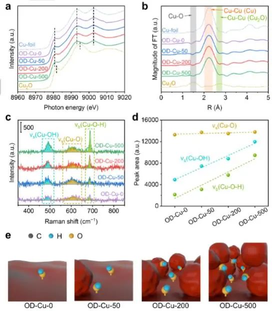 催化顶刊集锦：Nature子刊、JACS、Angew.、AFM、Nano Letters、ACS Catal.等成果