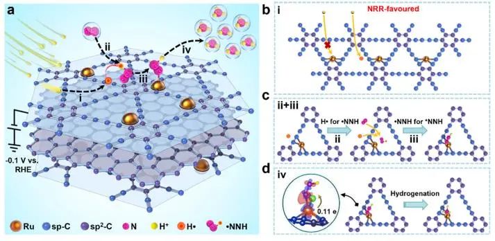 JACS：氢自由基作用大，与N2结合实现低电位电催化NH3合成