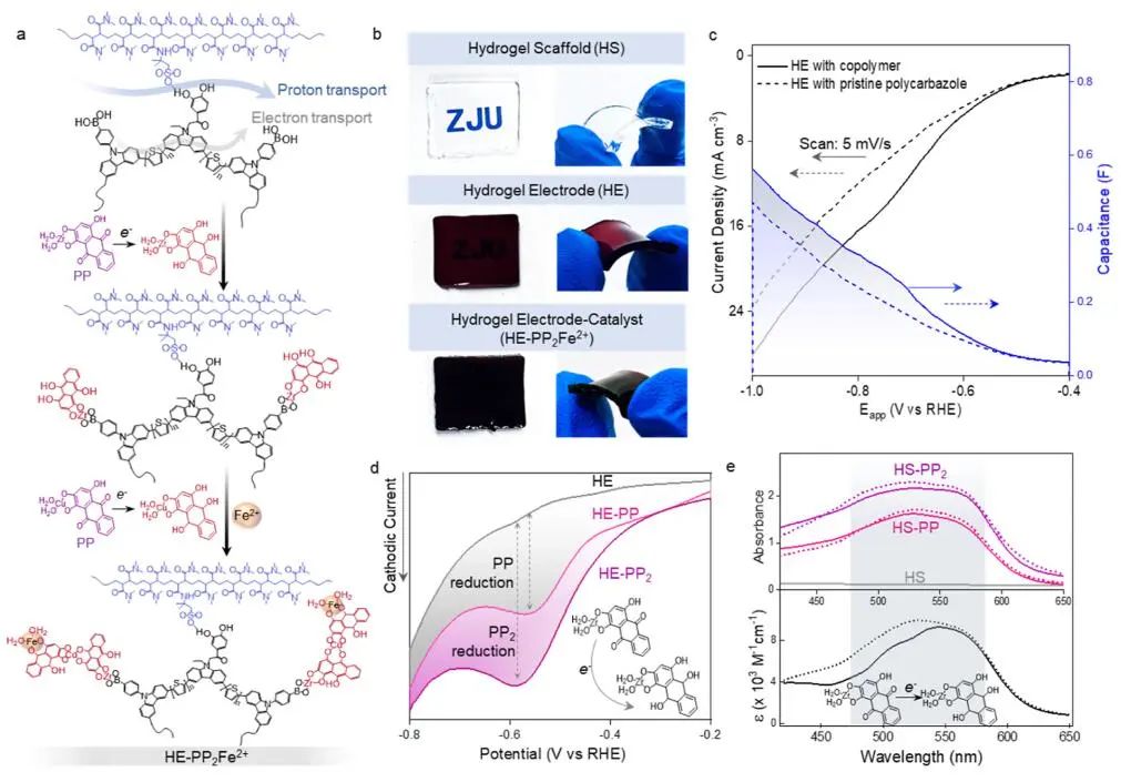 计算文献速递：Nature Catalysis、EES、JACS、Chem、EnSM、Nat. Commun.等！