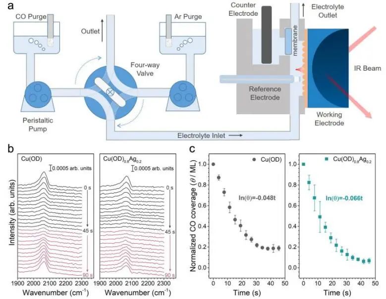 催化顶刊集锦：Nature、JACS、EES、ACS Catal.、ACS Nano、Small等成果精选！