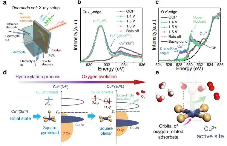 催化顶刊集锦：JACS、Nature子刊、ACS Catal.、AFM、Small、Carbon Energy等最新成果！