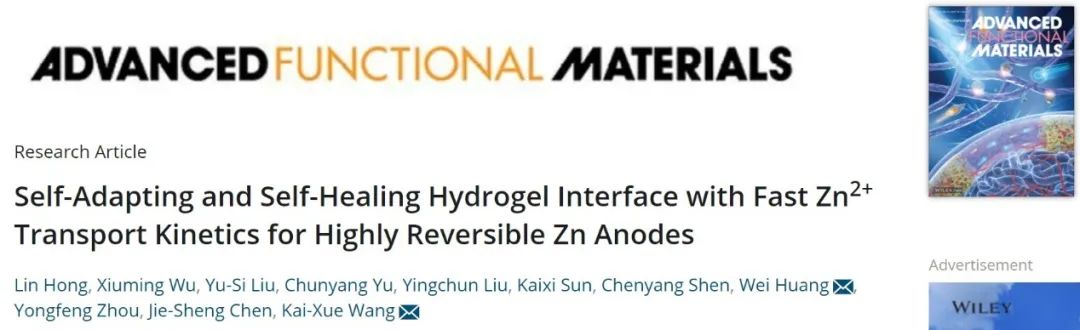 王开学/黄卫AFM：具有快速离子传输动力学的自适应/自愈合水凝胶SEI