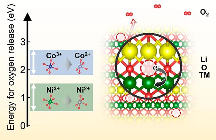 ACS Energy Lett.: 热力学分析定量评估锂离子电池正极中的晶格氧稳定性