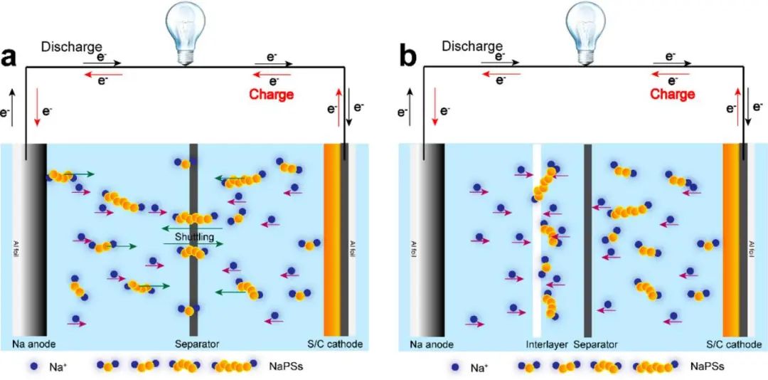 王志明/窦士学ACS Nano: 室温钠硫电池正极材料的纳米结构工程策略