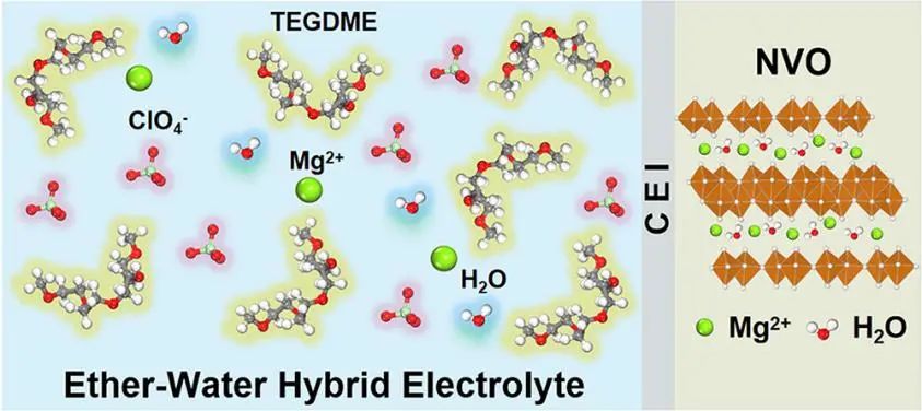 徐锡金/李洪飞/韩翠平ACS Nano: 醚-水杂化电解液提高层状钒酸钠的储镁性能