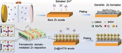 薛军民/田浩/陈涛Adv. Sci.：铁电极化+畴结构协同效应实现稳定可逆锌负极！