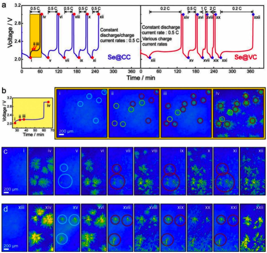 Li-Se电池EES：成核的重要性，X射线成像观察Se的溶解与沉积