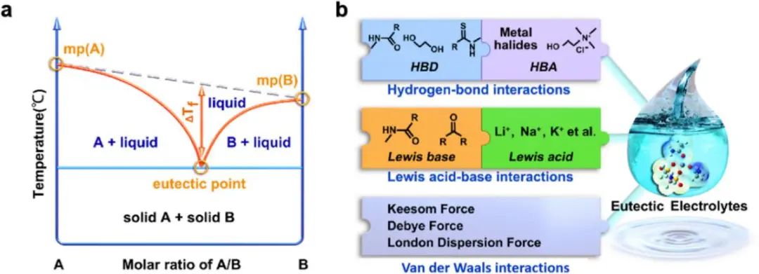 麦立强/周雯ACS Energy Lett.: 共晶电解质在先进金属离子电池中的应用