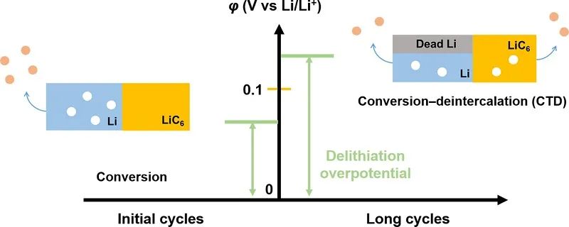 张强团队一天两篇顶刊，连发JACS、Angew.！