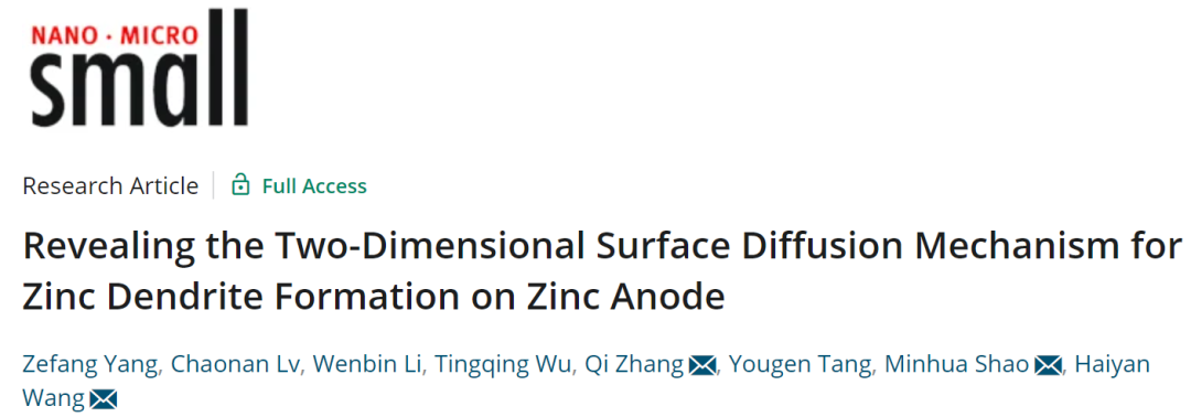 王海燕/邵敏华/张旗Small: 揭示锌负极上锌枝晶形成的二维表面扩散机理