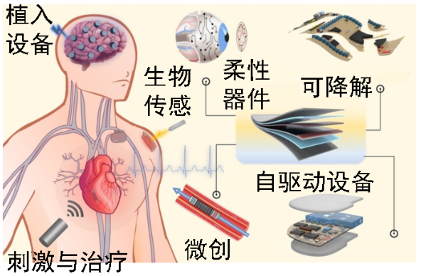 厉害！90后，国家重点研发计划首席科学家!