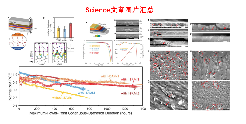 相同方法，为何老外发Science，国人只发JMCA？大神来剖析！