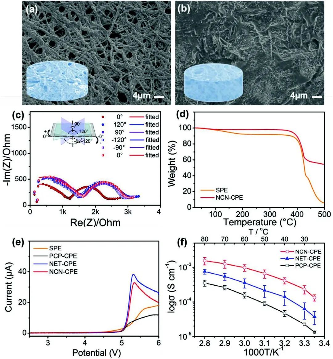 深大刘琛Adv. Sci.：陶瓷纳米线骨架增强固态电解质锂离子传输性能