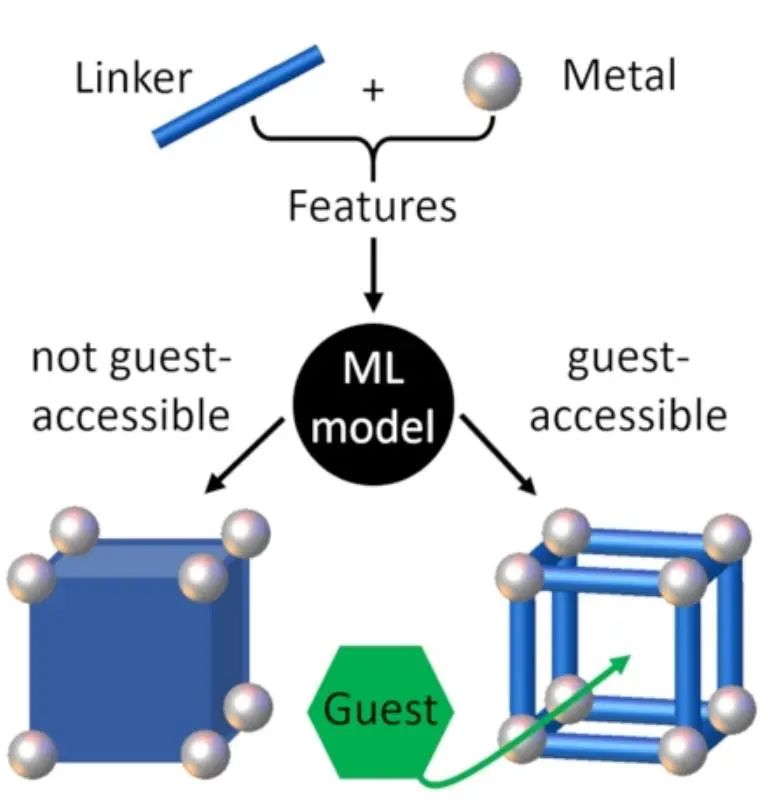 利物浦大学Angew: 机器学习用于预测MOF中客体的可及性