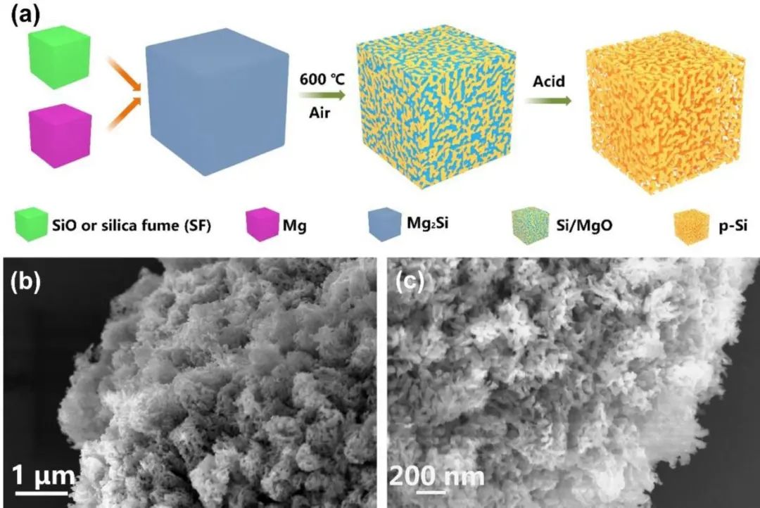 温珍海/胡翔EnSM: 改进的镁热还原实现互连多孔Si@C负极的高产率合成