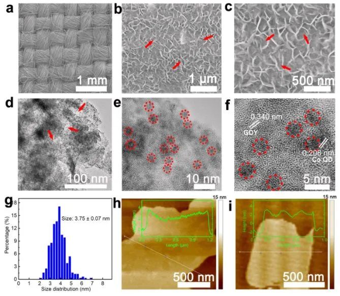 中科院李玉良/山大薛玉瑞Nano Energy: 多孔石墨炔负载CoOx量子点用于固氮反应