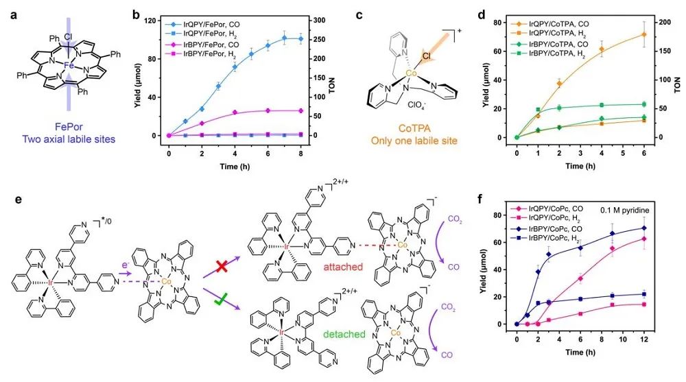 欧阳钢锋Nature子刊：近100%选择性！动态协同下的快速电子转移提高光催化CO2还原的量子效率