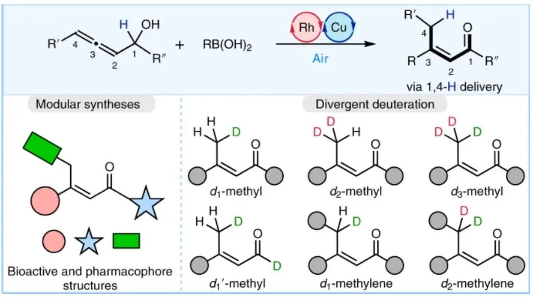 上海有机所&复旦Nature Catalysis：E-型烯醛/烯酮合成新策略！