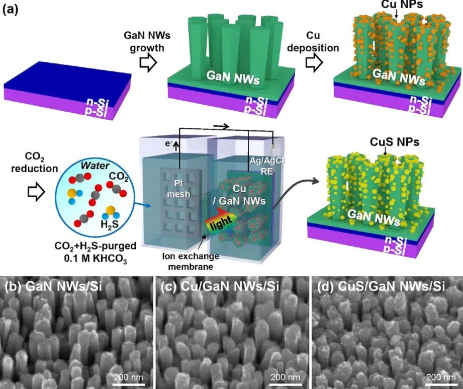 JACS: 硅光阴极上CuS修饰的GaN纳米线将CO2混合气体转化为HCOOH