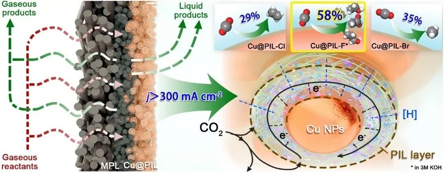 ​​Appl. Catal. B.：构建Cu@PIL界面在工业电流密度下调节电化学CO2RR选择性