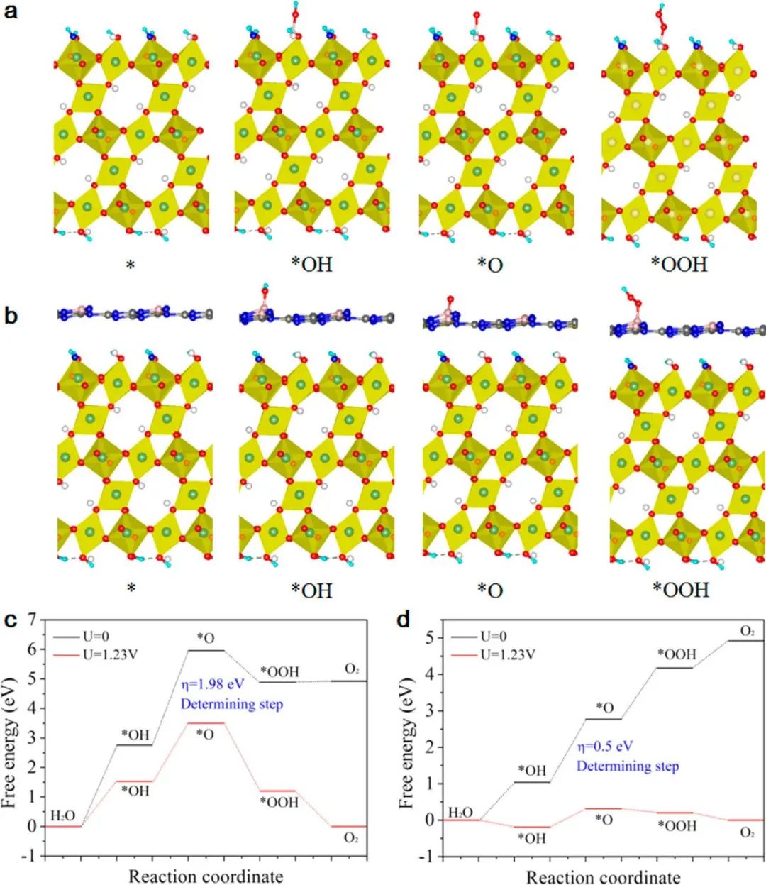 JACS：首次报道！用于光电化学水分解的大孔反蛋白石氧氮化物光阳极