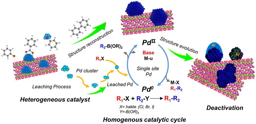 催化精选，8篇顶刊：JACS、Angew.、ACS Energy Lett.、ACS Nano及ACS Catal.