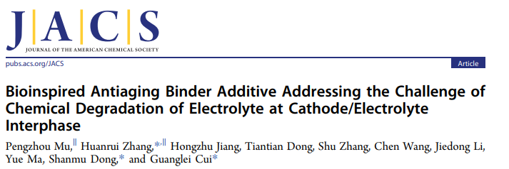崔光磊/董杉木/张焕瑞JACS：仿生抗衰老粘结剂添加剂应对电解液化学降解挑战