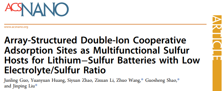 邵国胜/王卓/刘金平ACS Nano：低E/S比、高S负载锂硫电池的多功能硫主体
