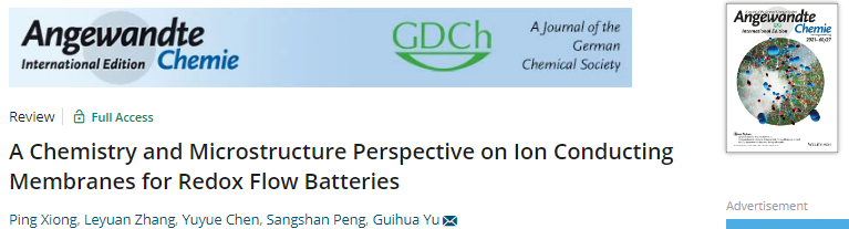 ​​​Angew：氧化还原液流电池离子导电膜的化学和微观结构展望