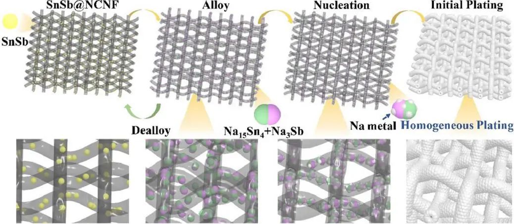 西工大马越EnSM: SnSb二元合金在受限纳米空间内诱导异质成核，实现无枝晶、高能量/功率密度的柔性钠金属电池