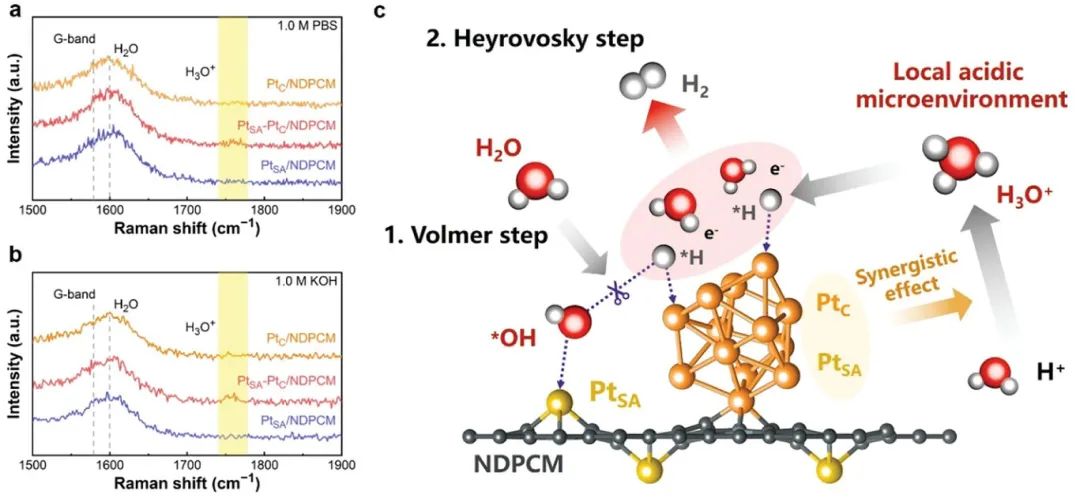 ​催化顶刊速递：Angew.、AFM、AEM、Sci. Adv.、ACS Catalysis等！