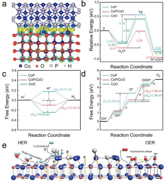 催化顶刊集锦：Nature子刊、JACS、AFM、ACS Catalysis、Nano Energy等