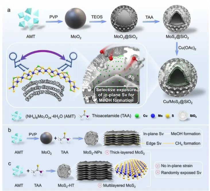 计算文献速递：Nature Catalysis、EES、JACS、Chem、EnSM、Nat. Commun.等！