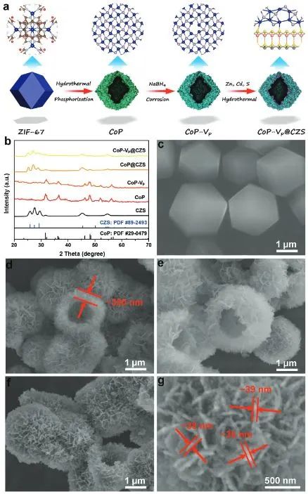 计算+实验顶刊集锦：JACS、Nature子刊、AEM、ACS Nano、Small、ACS Catalysis等计算成果