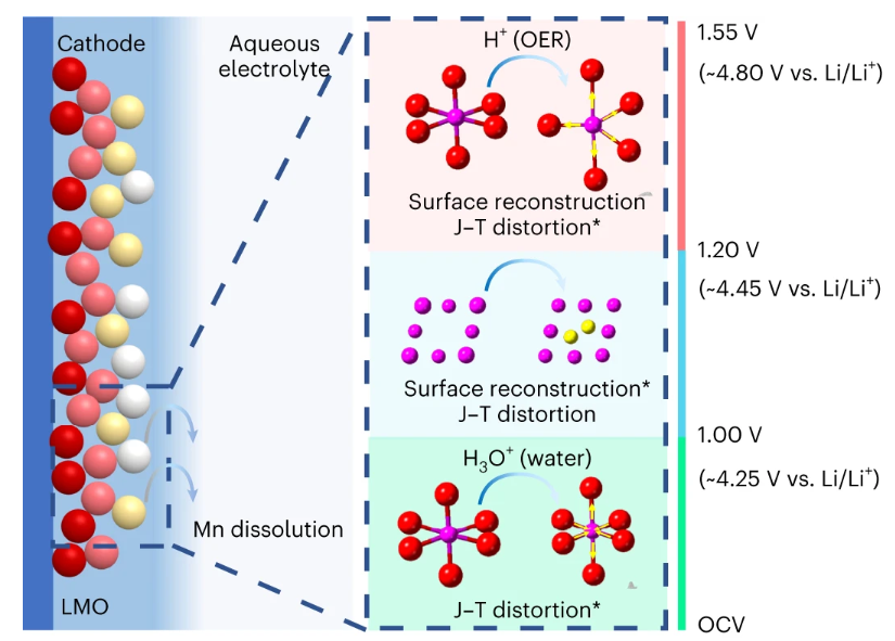 Nature Nanotechnology：正极材料的降解机制