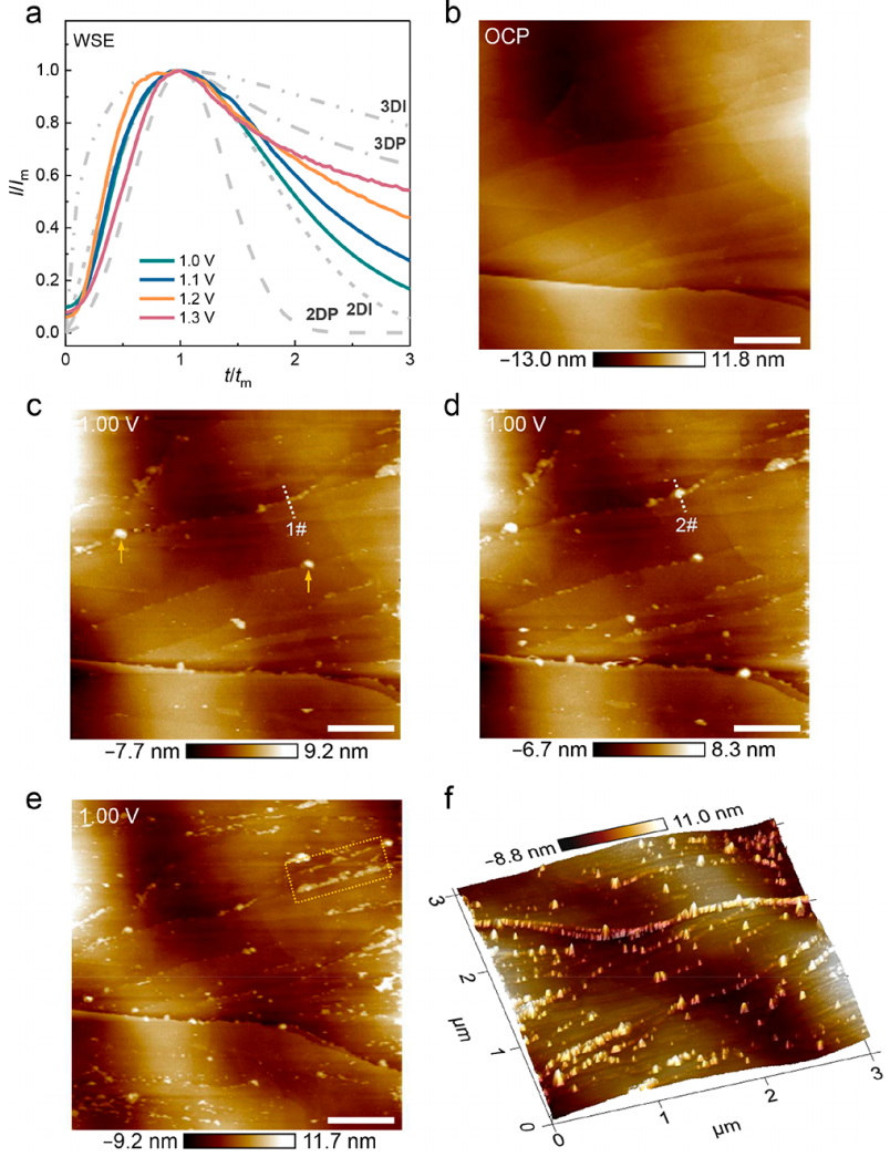 张强教授，最新JACS！