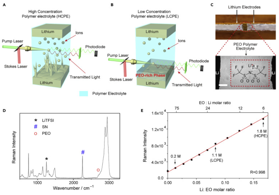 杨远/闵玮/程前Joule：稳定锂负极的聚合物电解质的相变策略