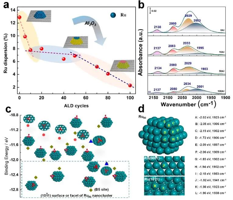 ACS Catalysis：计算+实验！揭示Ru基催化剂上CO2甲烷化的内在机理！